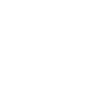 Car Lifter Icon