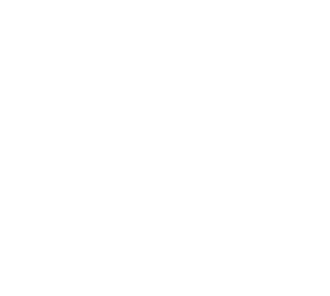 Car Part Icon